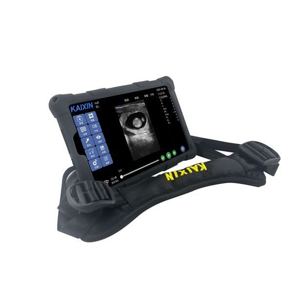 Portable Veterinary Ultrasound Scanner K1, Kaixin &ndash; detailed view | Veteq