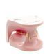 Feline Jaw Anatomical Model in use &ndash; veterinary Dental animal models equipment