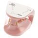 Feline Jaw Anatomical Model in use &ndash; veterinary Dental animal models equipment