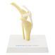 Canine Knee Anatomical Model with Ligaments in use &ndash; veterinary Artificial Animal Skeleton Models equipment