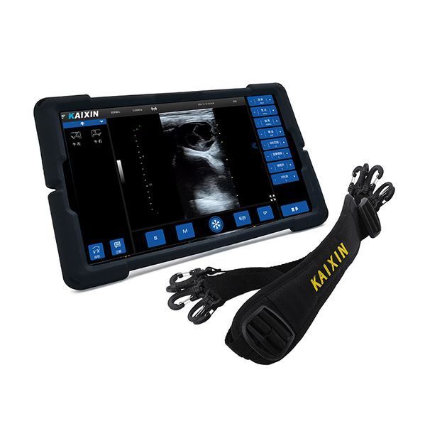 Portable Veterinary Ultrasound Scanner K6, Kaixin &ndash; detailed view | Veteq