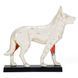 Dog Acupuncture Anatomical Model in use &ndash; veterinary Animal Acupuncture Models equipment