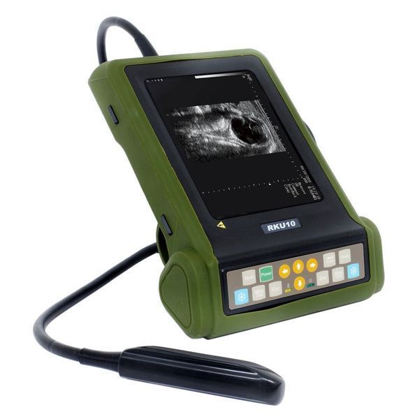 Ultrasound Machine for Large Animal RKU10, Kaixin &ndash; detailed view | Veteq