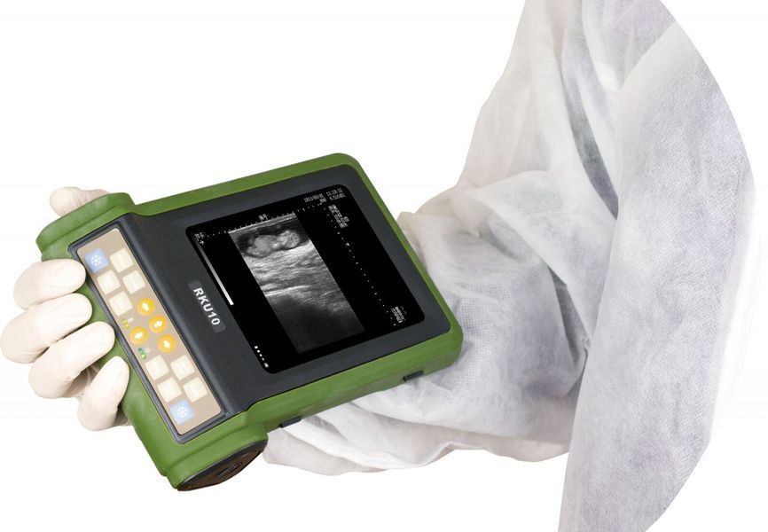 Ultrasound Machine for Large Animal RKU10, Kaixin &ndash; detailed view | Veteq