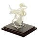 Pigeon Skeleton Specimen in use &ndash; veterinary Real Animal Skeleton Models equipment