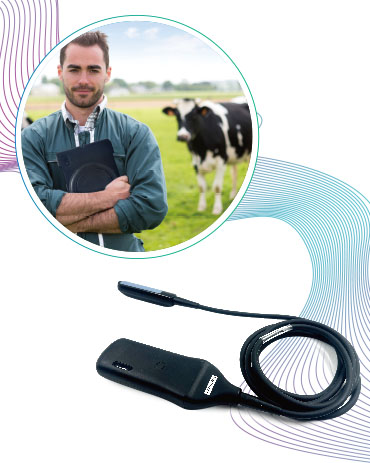 Portable veterinary ultrasound scanner Kaixin K6 for cattle farming and field diagnostics