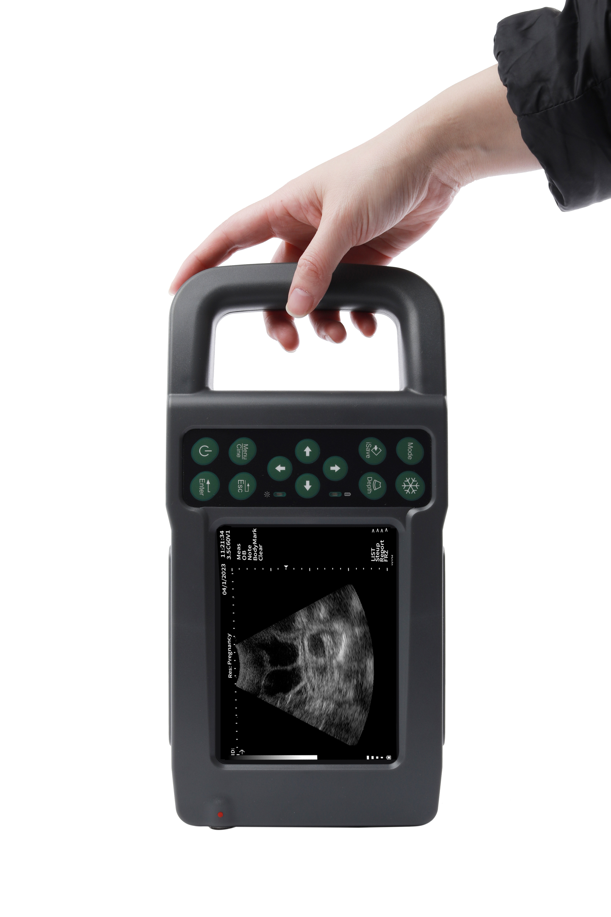 Hand holding the KX5600L ultrasound machine for pig farming
